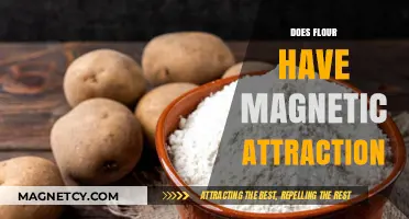 Exploring the Surprising Truth: Does Flour Exhibit Magnetic Attraction?