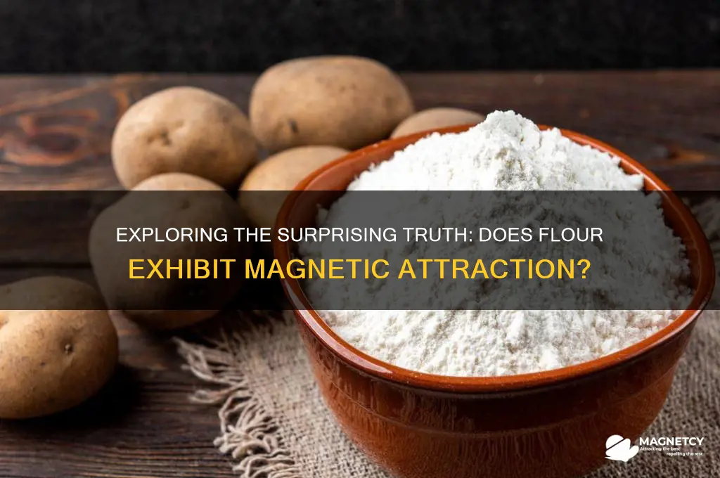 does flour have magnetic attraction