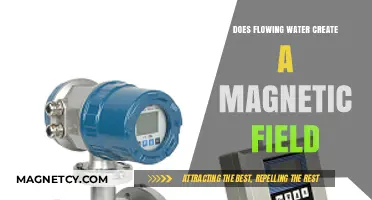 Unveiling the Mystery: Can Flowing Water Generate a Magnetic Field?