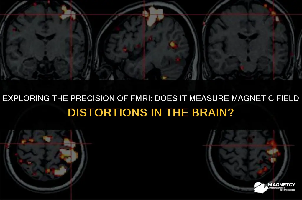 does fmri measure distortion in magnetic field of brain