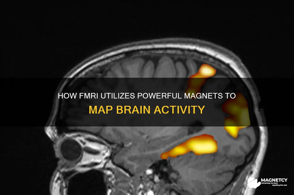 does fmri use magnets