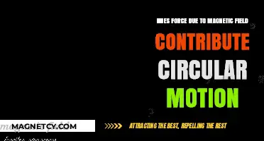 Exploring the Role of Magnetic Forces in Circular Motion Dynamics