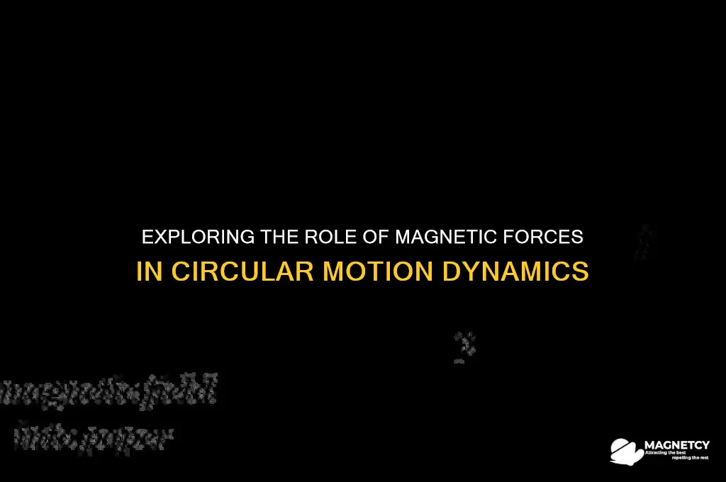 does force due to magnetic field contribute circular motion