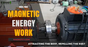 Exploring the Viability of Free Magnetic Energy: Myths and Realities