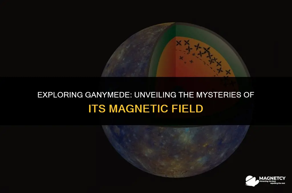 does ganymede have a magnetic field