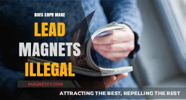 Navigating GDPR: The Legal Landscape for Lead Magnets Explained