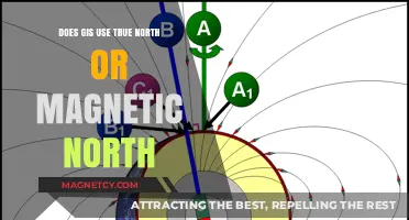 True North vs. Magnetic North: Which Does GIS Utilize for Accuracy?