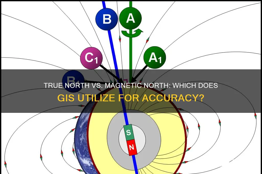 does gis use true north or magnetic north
