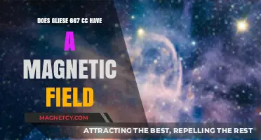 Exploring Gliese 667 Cc: The Mystery of Its Magnetic Field