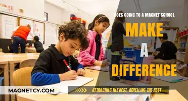 Exploring the Impact: Magnet Schools and Student Outcomes