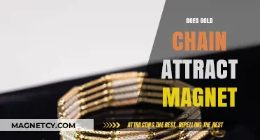 Does Gold Chain Attract Magnets? Unveiling the Truth Behind the Myth
