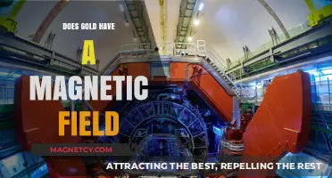 Unveiling the Truth: Gold's Magnetic Field Explained