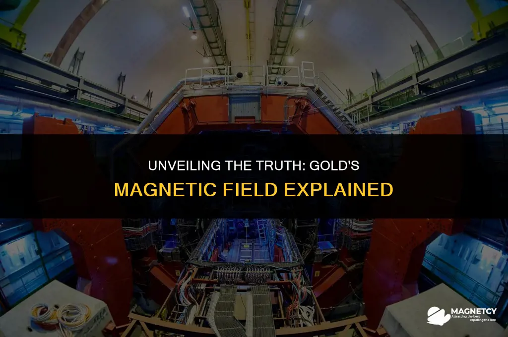 does gold have a magnetic field