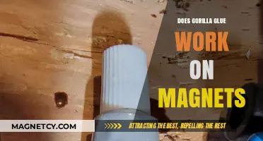 Exploring the Bond: Gorilla Glue's Effectiveness on Magnet Surfaces