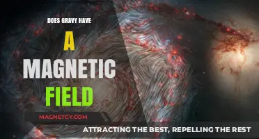 Unveiling the Truth: Gravy's Surprising Magnetic Properties Explained