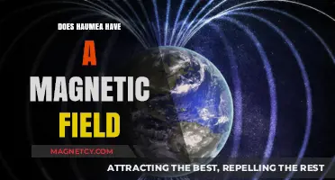 Exploring Haumea: The Mystery of Its Magnetic Field