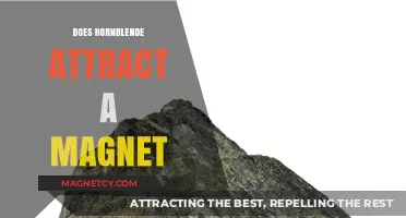 Does Hornblende Attract Magnets? Exploring Magnetic Properties of Hornblende