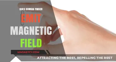 Exploring the Invisible: Do Human Fingers Emit Magnetic Fields?