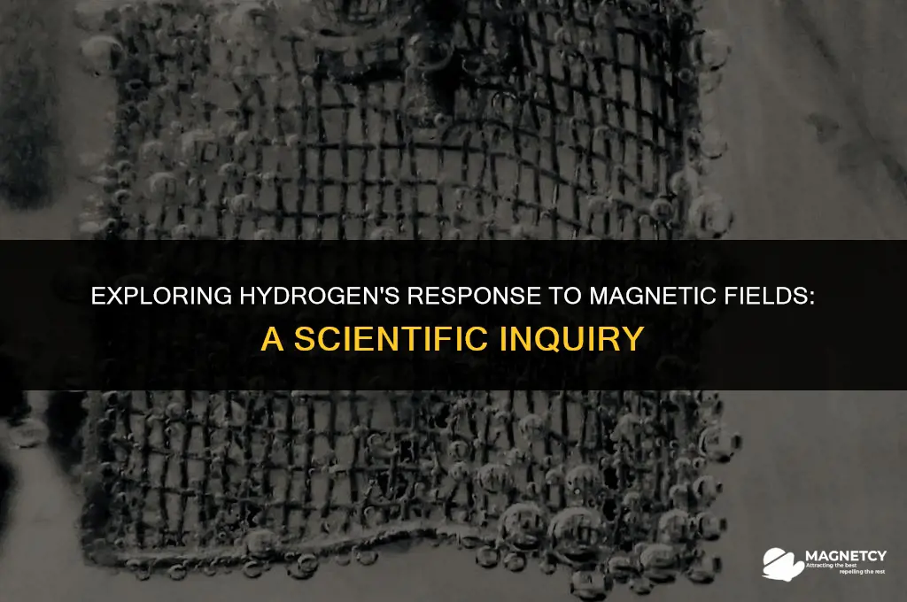 does hydrogen react to magnetic field