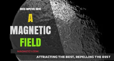 Exploring Iapetus: The Mystery of Its Magnetic Field