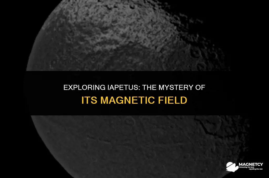 does iapetus have a magnetic field