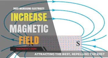 Exploring the Link: Electricity and Magnetic Fields