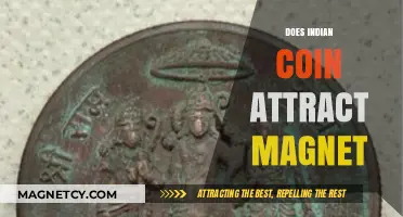 Do Indian Coins Attract Magnets? Unveiling the Metallic Mystery