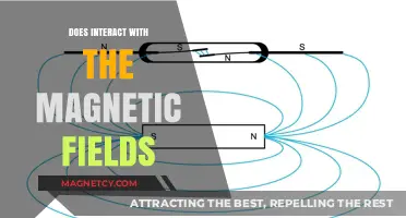 Exploring the Intricacies: How Everyday Devices Interact with Magnetic Fields