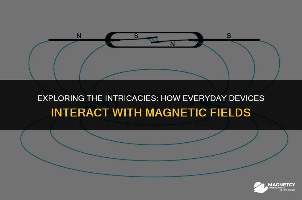 does interact with the magnetic fields