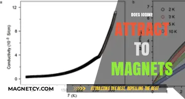 Does Iodine Attract to Magnets? Unraveling the Magnetic Properties of Iodine