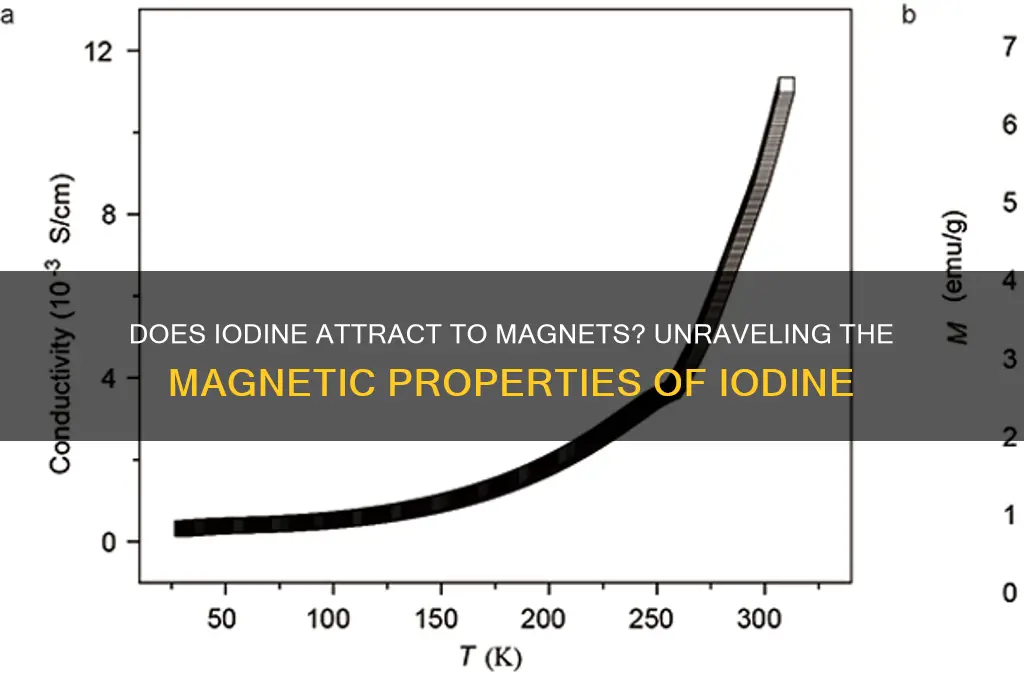 does iodine attract to magnets