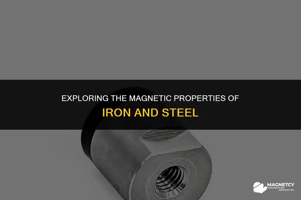 does iron and steel emit magnetic field