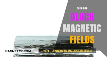 Exploring the Magnetic Shielding Properties of Iron: Does It Block Magnetic Fields?