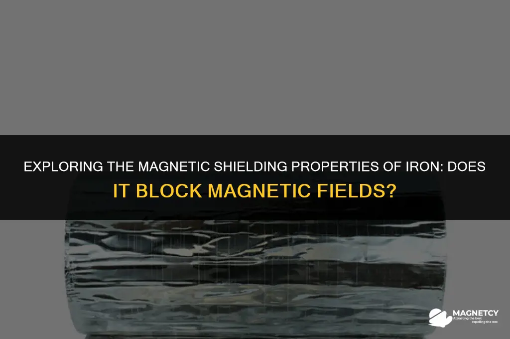 does iron block magnetic fields
