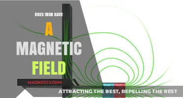 Exploring the Magnetic Properties of Iron: A Comprehensive Guide
