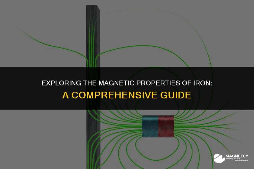 does iron have a magnetic field