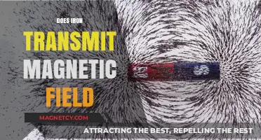 Exploring the Magnetic Properties of Iron: Does It Transmit Magnetic Fields?