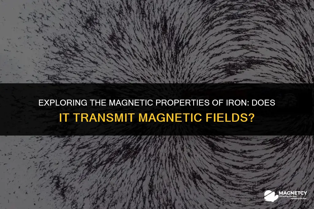 does iron transmit magnetic field