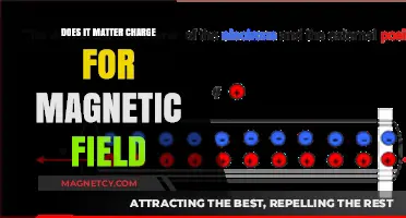 Exploring the Impact of Charge on Magnetic Fields: A Comprehensive Guide