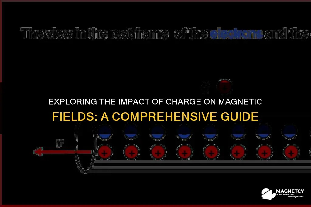 does it matter charge for magnetic field