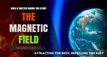 Exploring the Significance of Location in Magnetic Field Studies