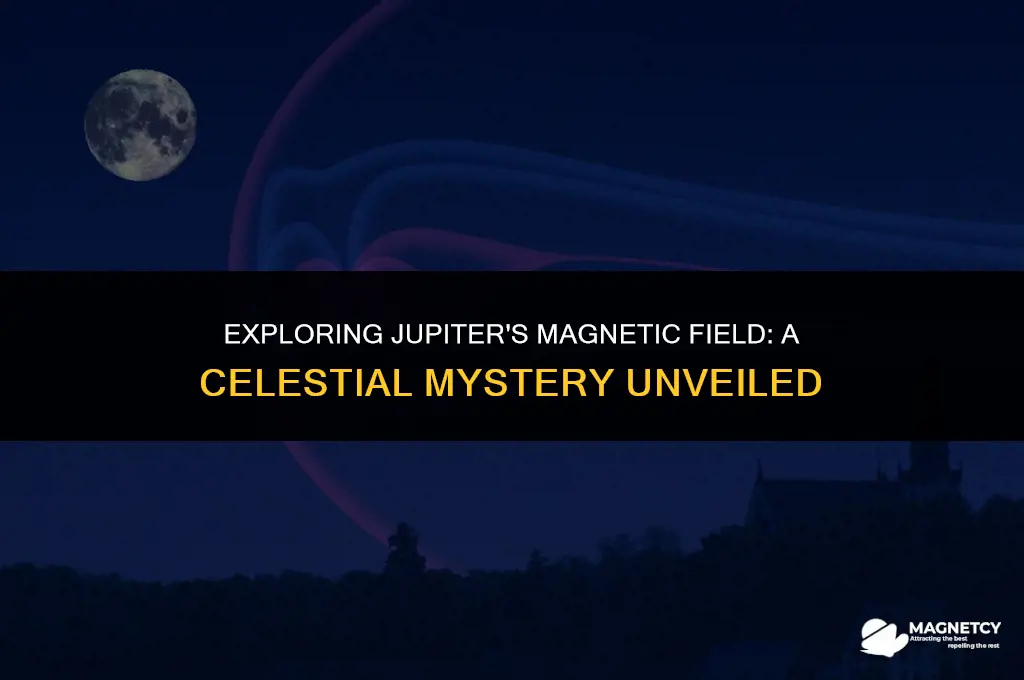 does jupiter have a magnetic field