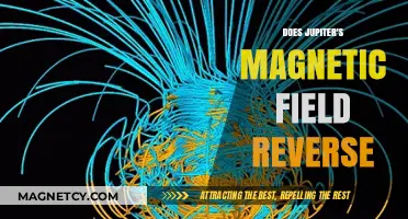 Jupiter's Magnetic Field: The Mystery of Reversals Unveiled