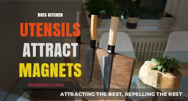 Do Kitchen Utensils Attract Magnets? Unveiling Magnetic Material Mysteries