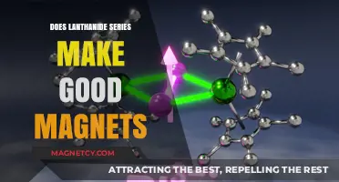 Exploring the Magnetic Potential of Lanthanide Series Elements