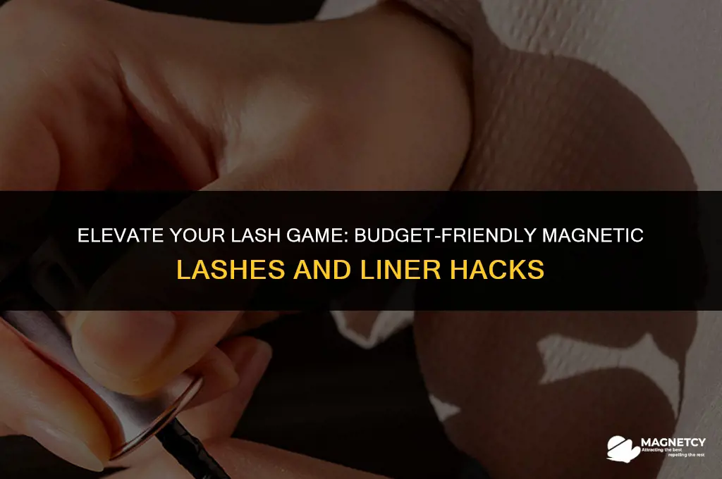 does lash liner work with cheap magnetic lashes