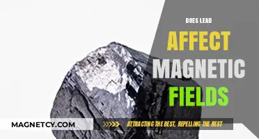 Exploring the Impact of Lead on Magnetic Fields: A Comprehensive Guide