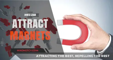 Does Lead Attract Magnets? Unraveling the Science Behind Magnetic Attraction
