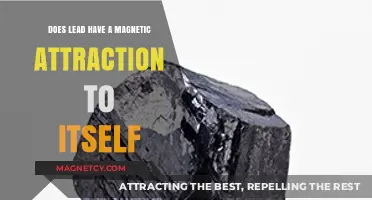 Does Lead Exhibit Magnetic Attraction to Itself? Exploring the Science
