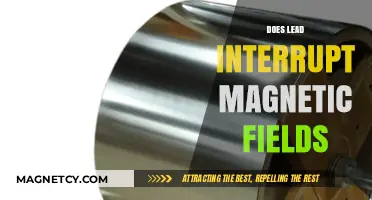 Exploring the Interaction: Lead's Effect on Magnetic Fields